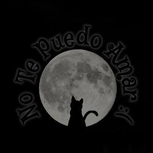 Mykyu Shisoby - No Te Puedo Amar (Audio)