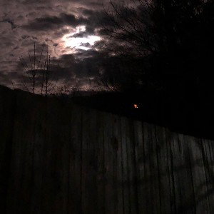 TempoMan Moon DJ Set 8 19 22, 15:15