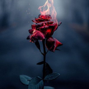 «NEW_RAP» - Otra Vez 