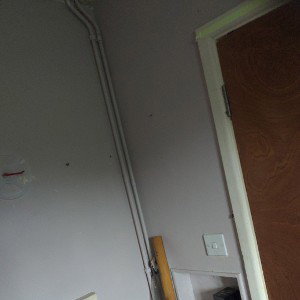 demons in my house 