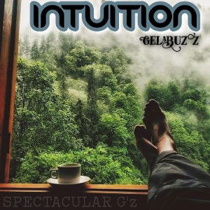 GELABUZZ __ Intuition 