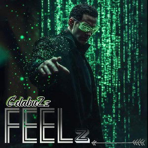 GELABUZZ __ FeeLz 