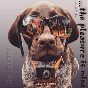 GELABUZZ __ The pleasure is mine
