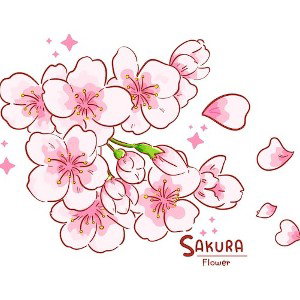 Sakura' (Prod By Levi)