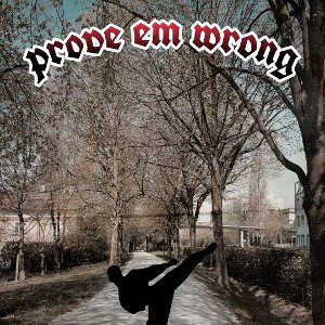 prove em wrong
