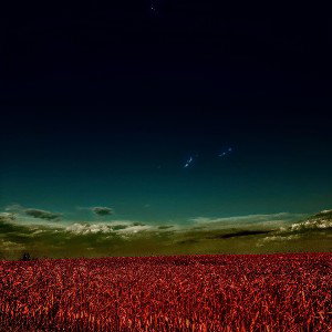 Flesh n the fields Floods n the farmland