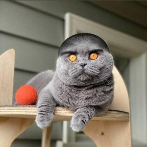 оу