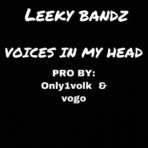 voices in my head 