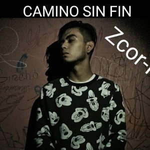 Camino Sin Fin - Zcor-IA