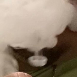 NxT leVL Shit