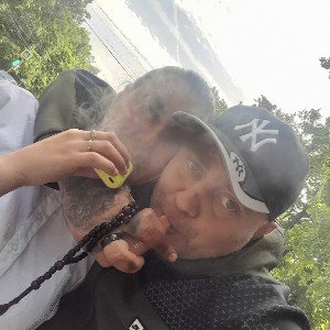 моя рысь❤️