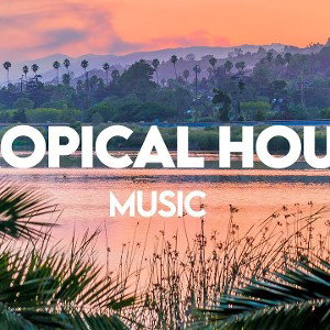 dj.BigSam tropical House                            