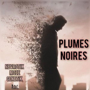 Plumes noires