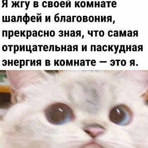 Аlis Goldie - Без названия 15 мая 2023 г.