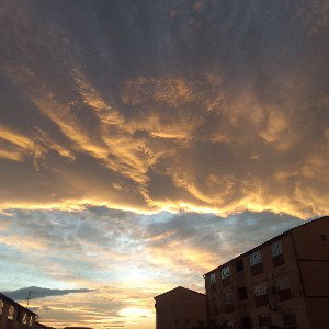 Children Of The Sun