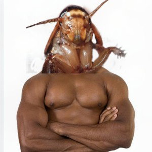 Roaches in the Ash Tray Part III