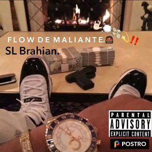 Flow De Maliante👹🔥🇨🇴 - SL Brahian 
