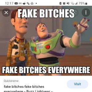  fake bitchez everywhere  