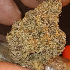  Kant FuC WiT Me 