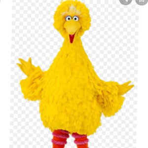  BIG BRICK DINERO A.K.A BIG BIRD 