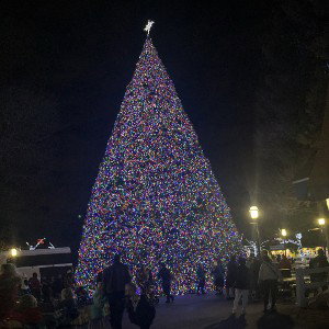 Christmas time 