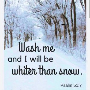 whiten than snow 