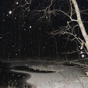 carleen - товар