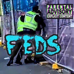 FEDS