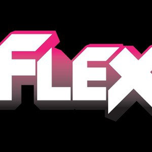FLEX(demo) 