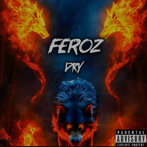 DRY - FEROZ 🐺