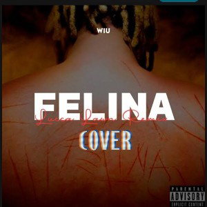 COVER- FELINA 