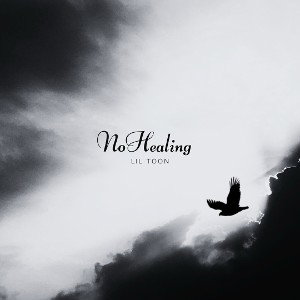 No Healing 