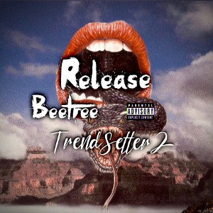 Release 