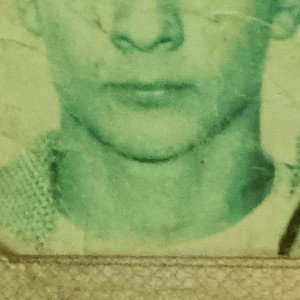 diligis -   dark