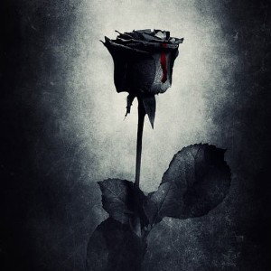 BLACK ROSE