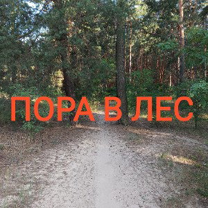 ✌️Система в никуда👎
