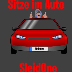SleidOne - Sitze im Auto