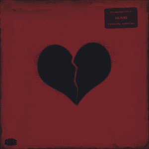 POLYNOIZE - CRYCRY