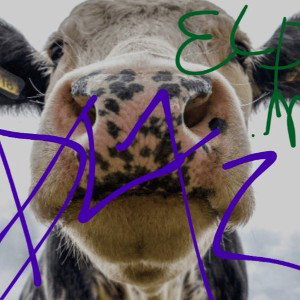yo el p moo