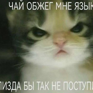моя музыка - дерьмо 