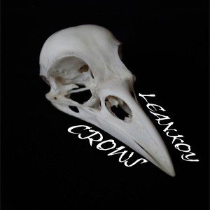 CROWS