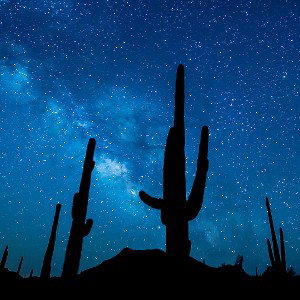 Seeing Stars 