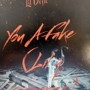 You A Fake (Lil q response)