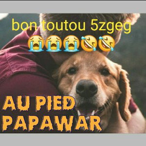 #patpatrouille #aupiedpapawar #bontoutout #death2ombre 