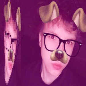HARRY POTER