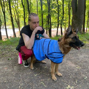 gangdvorovyesobaki