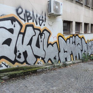 Crna Lobanja 