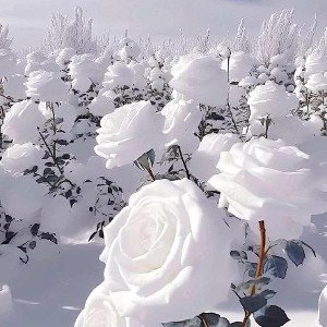 #главное в мире
