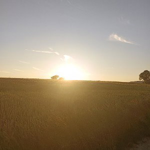 LANGSAM