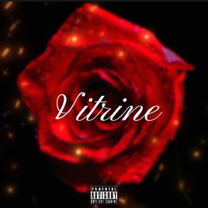 $7TE "Vitrine ✨"